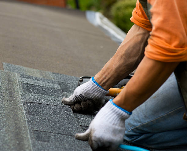 Roof Gutter Cleaning in Blanco, TX